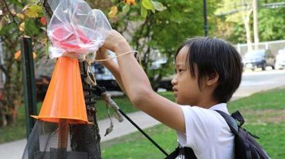 Middle School Clubs Green Devils Lantern Fly Trap